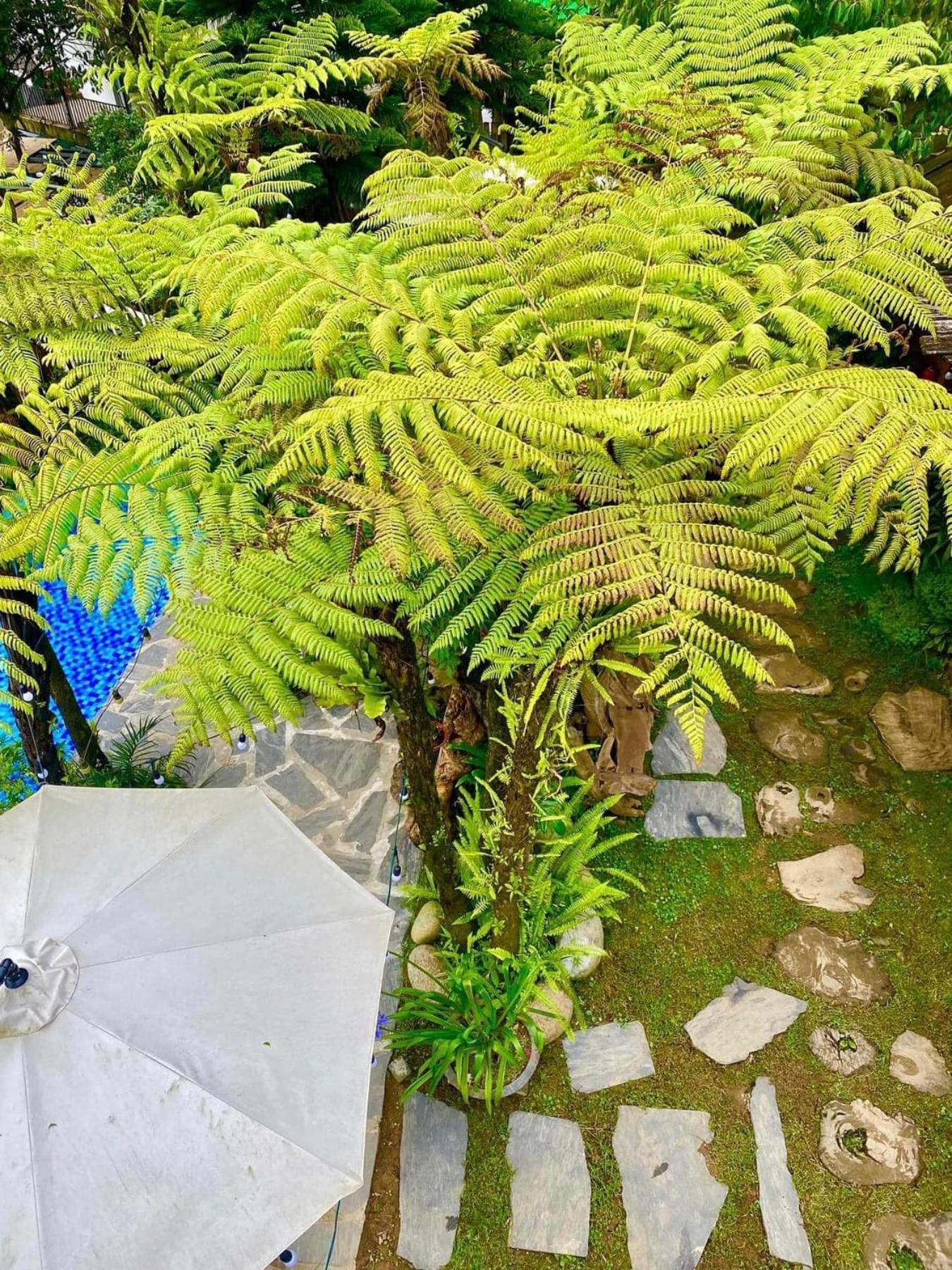 Love House Homestay Sapa Экстерьер фото